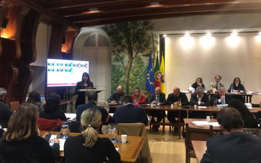 Intervenção sobre o Grupo 93 dos Escoteiros de Sintra Assembleia Municipal